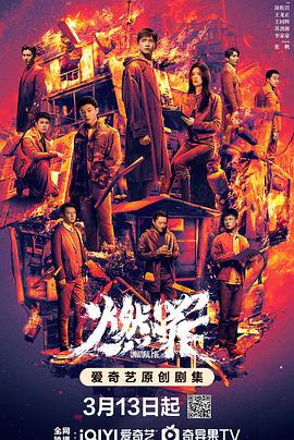 《燃罪》国产剧封面
